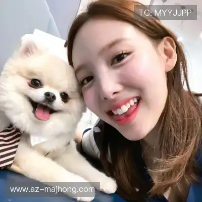 嵇蒙飚